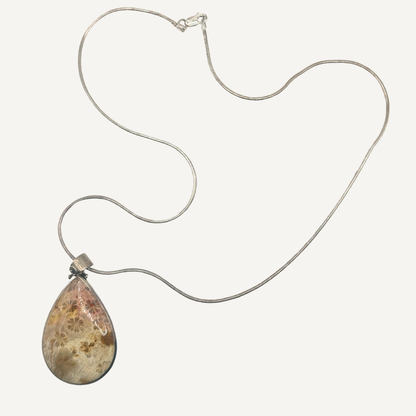 Fossil Coral Pendant